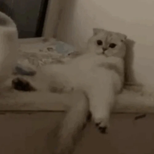 国产极品一区二区美女人体羞羞漫画
